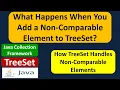 What Happens When You Add a Non-Comparable Element to TreeSet Java Collection Framework