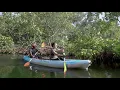 Download Lagu Gambia Kayaking: Breath-taking day on a Tanji Creek | My Gambia | My Magazine