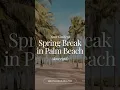 YOUR GUIDE TO SPRING BREAK IN PALM BEACH FLORIDA