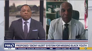 Ebony Alerts proposed for missing Black children and young women