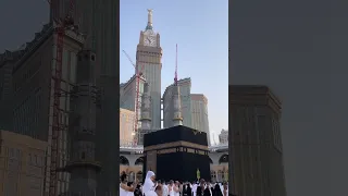 حب النبي رحمة و دواء والقلب من نوره ارتوى ملك الحبيب روحي 