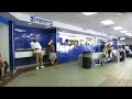 Orlando Greyhound