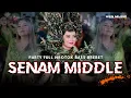 Lagu DJ SENAM MIDDLE NROTOK ‼️ STYLE PARTY BASS BREBET NULUP YANG KALIAN CARI - BY KEN MUSIC PRO