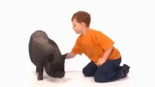 This Is Daniel Cook Intro 