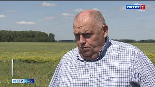 Ранняя весна и засушливое лето в этом году скажутся на количестве и качестве урожая