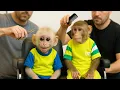 Download Lagu Cutis take baby monkey go hair salon, makes everyone admire with strange new appearance 😯🙊
