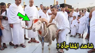 شاهد ماذا حدث لهذا الرجل المصري عندما حاول ذبح خروف أمام الكعبة… معجزة أبكت الحجاج! 😱🐑