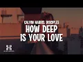 Calvin Harris, Disciples - How Deep Is Your Love (Lyrics)