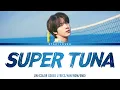 Lagu BTS JIN - SUPER TUNA (슈퍼 참치) [Color Coded Lyrics/Han/Rom/Eng)