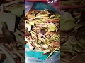 Download Lagu what is khats# Arabic language in #Swahili miraa#short#viral#khat drug #effects of khat khat plant