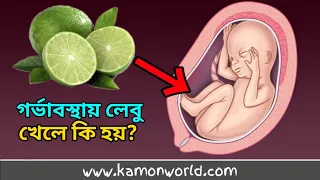 Download গর্ভবতী মা লেবু খেলে কি হয় lemon during pregnancy | gorvobotir mayer Lebu MP3