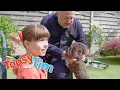 Download Lagu Two dogs \u0026 New glasses | Topsy \u0026 Tim | Cartoons For Kids | WildBrain Kids