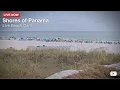 Shores of Panama Panama City Beach FL