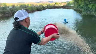 TOE ENSINANDO O PASSINHO DO JAMAL PARA TIRINGA 😂 | CHÁCARA COMÉDIA SELVAGEM