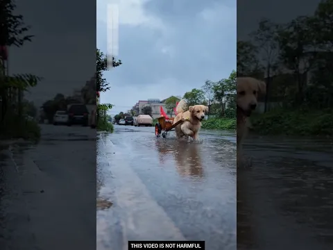 #luckygameplay