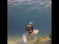 Download Lagu Stephanie  snorkeling