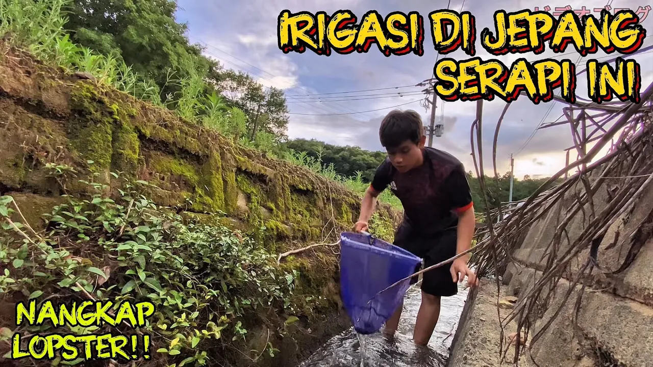 MENCARI IKAN DI IRIGASI PERSAWAHAN DESA JEPANG ! MENCARI IKAN DI IRIGASI PERSAWAHAN DESA JEPANG !