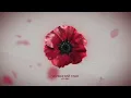 Kolibri, Zlata Ko - Червоний мак (new 🎧 2026)