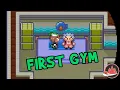 Finally The First Gym In Pokemon Run Bun