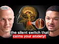 Lagu Tim Ferriss: The Hidden Nerve That Controls Trauma, Mood \u0026 Emotional Pain!