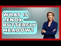 What Is Lenox Butterfly Meadow - The Collectibles Guide