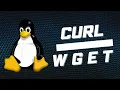 How to Use wget and cURL command in Linux
