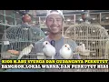 Download Lagu UPDATE HARGA BURUNG PERKUTUT BANGKOK,LOKAL WARNA,KATURANGGAN DAN HIAS DI PASAR BURUNG PRAMUKA