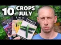 Download Lagu Top 10 Crops to Plant in July