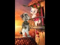 Download Lagu Ek baar aja aja aja aja aaaaaa jaaaaaa