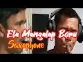 Lagu Instrumental Eta Mangalap Boru – Versi Saxophone | Willy Musik |@Willy_Musik