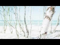 Christian Löffler - Licht