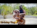 Download Lagu Vlog 1 ( birthday 🎉 🥳 🎂 vlog)