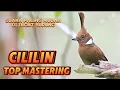 Download Lagu CILILIN || TOP MASTERING MURAI BATU