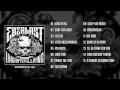 Download Lagu Everlast - Songs Of The Ungrateful Living (Full Album)