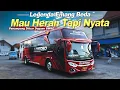 Download Lagu SANGAT DILUAR DUGAAN PADAHAL CUMA JALAN SATU BUS 🔥 Trip Muntilan - Jakarta With Bus Legend Santoso