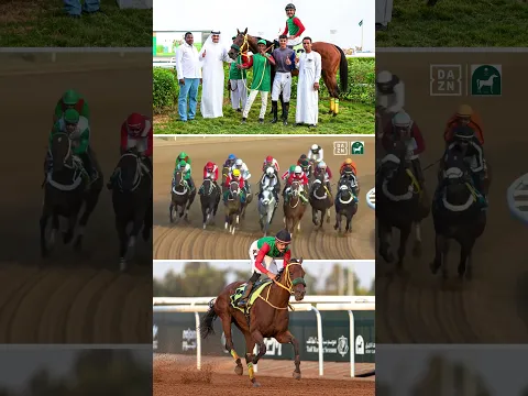 Night of Desire takes Race 4 (120,000 SAR) 🐎🇸🇦 | #TaifSeason