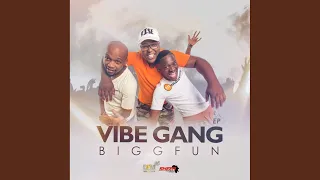 vibe gang iphakathi original mix 