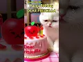 Download Lagu Heartwarming Moment  Kitten Sings Birthday Song for DEAR PRISCILLA while crying #viralshorts