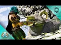 I Found an Island Ruled by an Unkillable Ovis Boss ARK Astraeos E3