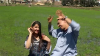 على أول الطريق الزراعى  على أول الطريق الزراعى