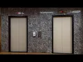 Modernized Westinghouse elevators at One Monroeville Center - Monroeville PA
