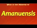 What is the Meaning of Amanuensis