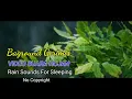 Cinematic hujan / Suara hujan /Video lyrics hujan / No copyright.