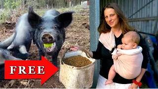 How We feed 50 Hungry Mouths on a Budget | Meet The Babies! –  Free Range Homestead Ep. 66