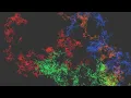 Making weird patterns with random walks C Raylib
