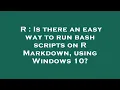 R Is there an easy way to run bash scripts on R Markdown using Windows 10