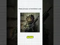Download Lagu The CIA’s $20 Million Spy Cat Experiment Gone Wrong | Acoustic Kitty #shorts #facts