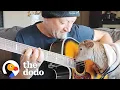 Download Lagu Rescue Lamb Is Obsessed With His Dad’s Guitar | The Dodo