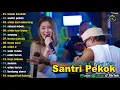 Lagu VITA ALVIA FT. ARIF CITENX - KAWIN KONTRAK - FULL ALBUM DANGDUT KOPLO VIRAL TERBARU