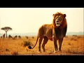 Download Lagu Be Yourself | On-Screen Lyrics | Gone Rogue (Inspired by Kun Anta - Humood Alkhudher | حمود الخضر)